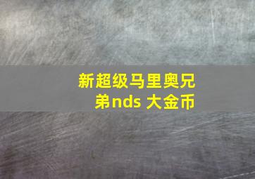 新超级马里奥兄弟nds 大金币